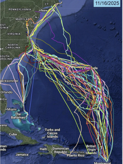 Screenshot 2025-11-19 155526